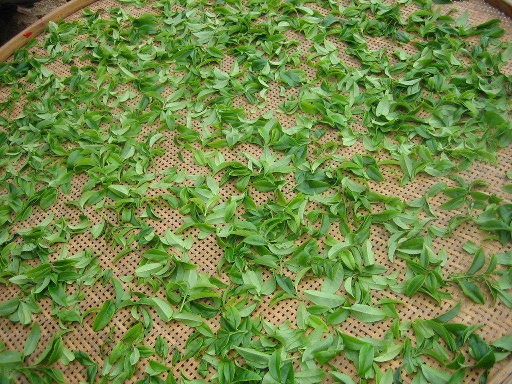 Tieguanyin Tea